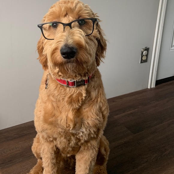 Meet your Posher, Dana - Picture 1 of 1